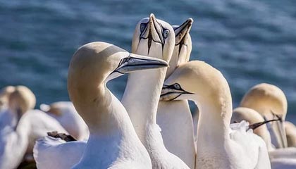 开云体育官网-成都兴城主场胜利，保持不败战绩，成都兴城足球俱乐部比赛直播